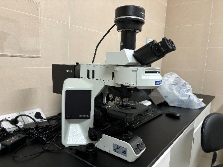 正置荧光显微镜.jpg 正置荧光显微镜.jpg