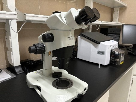 体视显微镜.jpg 体视显微镜.jpg